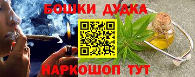 spice Обь