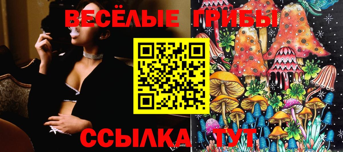 Псилоцибиновые грибы прущие грибы Ревда