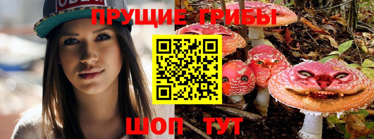 Ревда  Псилоцибиновые грибы Psilocybine cubensis  Вход с VPN 
